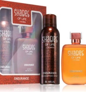 photo_2026-03-17 00.19.41