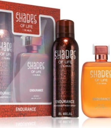 photo_2026-03-17 00.19.41