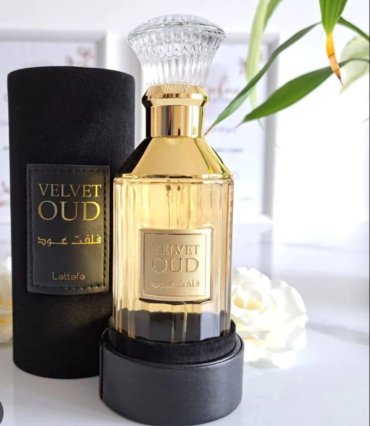 photo_2026-03-17 00.19.50